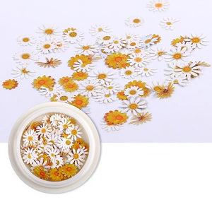 Nail Art Color Mixed Flower  Wood Pulp Piece Small Daisy Rose  Fresh Pastoral Nail Dried Flower Patch  DIY Nail Art Decoration